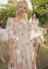 Rose's Smile Corset Dress â…¡